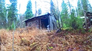 ЗДРАВСТВУЙ ИЗБА У РУЧЬЯ. ИЩУ ЗОЛОТО В ГЛУХАРЕ. 20 серия