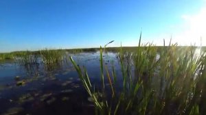 ВЗЯЛ ЖЕНУ на ОТКРЫТИЕ ОХОТЫ. НОЧЁВКА В ПАЛАТКЕ С ПЕЧКОЙ и РЫБАЛКА. Охота на утку