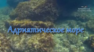 Адриатическое море / Подводная съёмка /  Relax