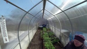 Влог от 10.04.2022