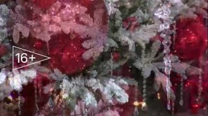 "Телекабинет врача" - 15.01.2026