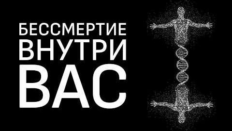 Бессмертный ген Как эволюция обманула смерть. смотреть онлайн
