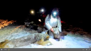 Охота на волков .Небывалое количество -112 участников !