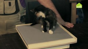Как сделать лежанку для котёнка. Кроватка для питомца своими руками