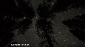 Tavendor - Minor. Простой спокойный дип хаус. 2026.