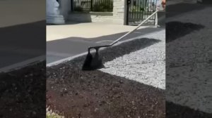 Интересно можно сделать для своего участка