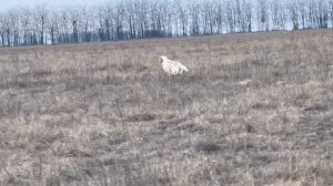 Федора.24.02.26.