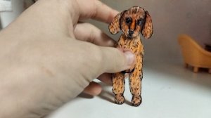 Новая собака??? 
Две новые шлейки?? 
в четверг видео не будет.