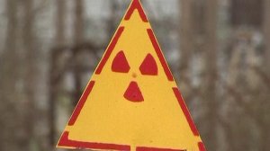 Служба внешней разведки раскрыла детали авантюры с предоставлением Киеву ядерного оружия.