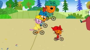 Три Кота на спорте