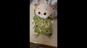 Вложек на каникулах (снимали в январе)