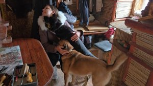 Завершение проекта, контрастная погодка и интересный заказ