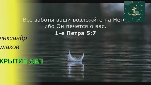 СКРЫТИЕ ДЕЛ | Александр Кулаков