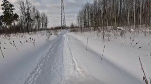 Тайга Варяг 550 нашел придел проходимости .