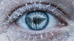 ДОРОГА СЛЕЗ: ЗАБЫТЫЙ ГЕНОЦИД АМЕРИКИ