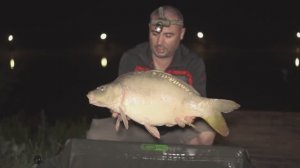 Golden Carp Lake -Indjija EP205_05092023