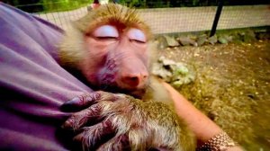 Маня БРОСИЛА Тосю и счастливая засыпает под колыбельную )