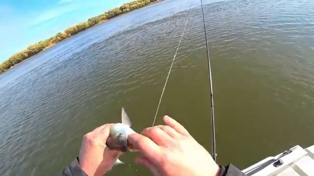 НА РЫБАЛКУ В САМОЕ ТИХОЕ МЕСТО В АСТРАХАНИ. смотреть онлайн