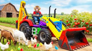 Мультики для детей и малышей про обезьянку живущую в лесу. Мультики про животных