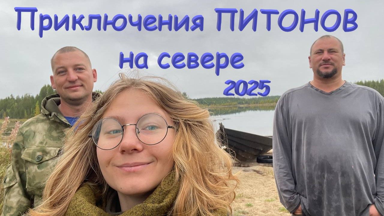 питоны на севере