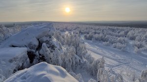 ПРОГУЛКА ПО ЛЕСУ 24 февраля 2026г