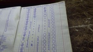 ПОСЕВЫ 2026-32. Сколько томатов я высаживаю в теплицу 3 на 8 метров?