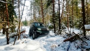 УАЗ «Росомах», колеса 44 дюйма один против рекордных  за 72 года  сугробов . Любопытные коты.