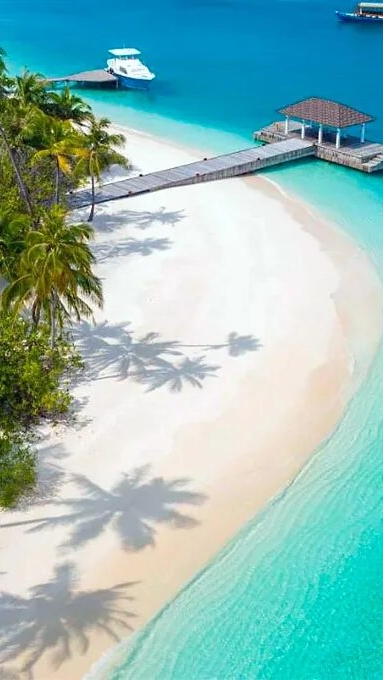 KISS ME - $ RAPID UNSCHEDULED DISASSEMBLY $ - ТРЕВОЖНАЯ