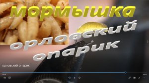 Мормышка орловский опарик.