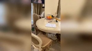 #смешныевидео -1047