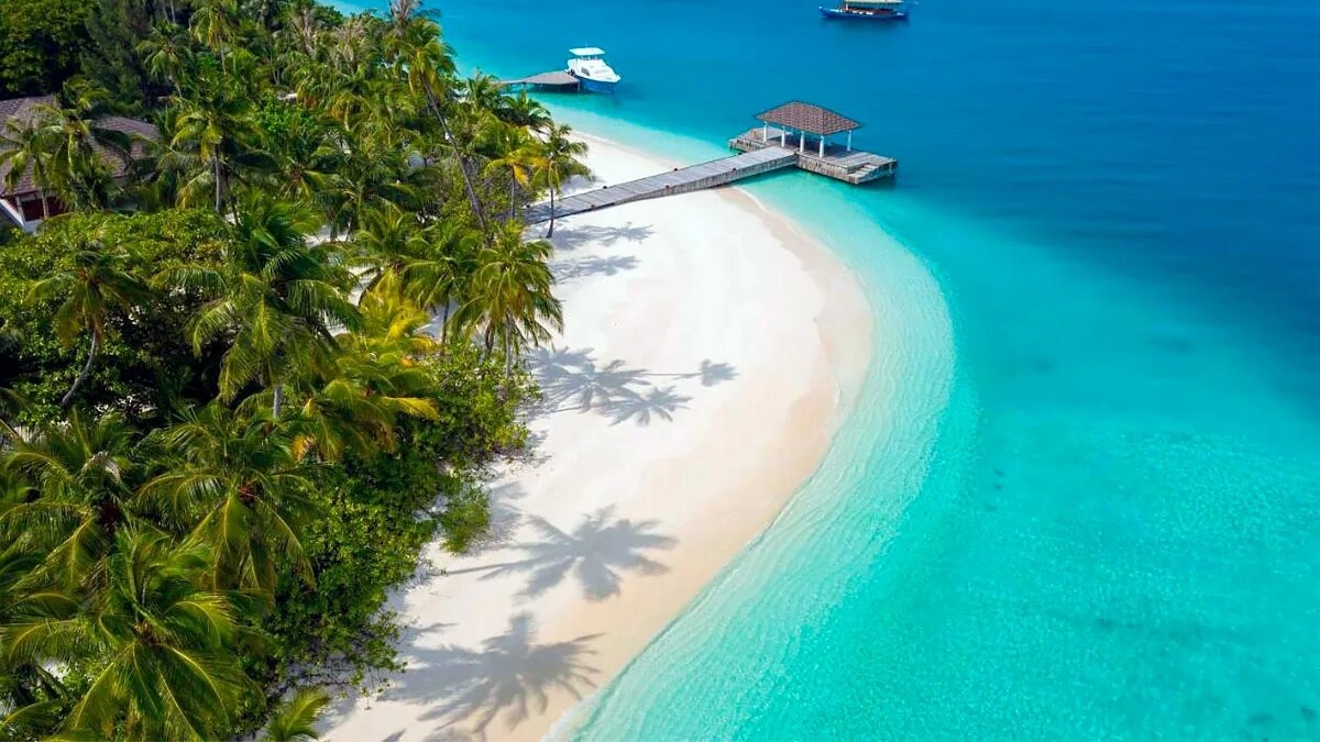 KISS ME - $ RAPID UNSCHEDULED DISASSEMBLY $ - ТРЕВОЖНАЯ