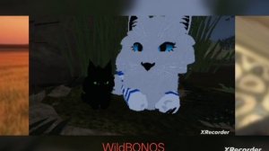 WildCraft мини инфа моего канала (если что видео от канала WildMAVIS она попросила на мой закрепить)