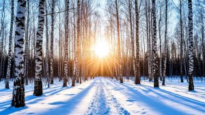 ЛЮБИМЫЙ ШАНСОН. //ИГОРЬ ГОРЯЧЕВ//