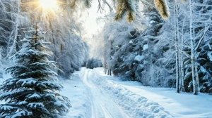 Природа рисует: завораживающие зимние сцены