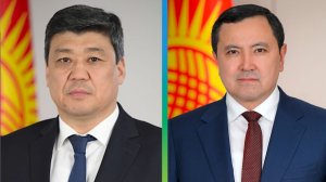 Президент Кыргызстана отправил в отставку зампреда кабинета министров и главу Минздрава