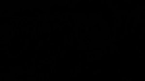 НОЧНОЙ ДОЗОР.  АНГЛИЙСКАЯ ВЕРСИЯ.  СОНГЛИ ГИФТ.