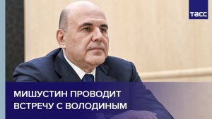 Мишустин проводит встречу с Володиным