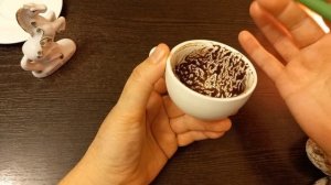 О ЧЕМ НАДО ЗНАТЬ? ВАЖНЫЕ СОБЫТИЯ НЕДЕЛИ. ПРОГНОЗ НА КОФЕЙНОЙГУЩЕ.