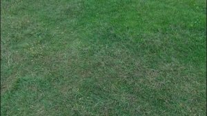 Ессентуки - Элиста - Волгоград - Саратов. 2300 км на Хантере