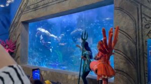 Vinpearl, Шоу русалок, Вьетнам, Нячанг, Февраль 2026 г.