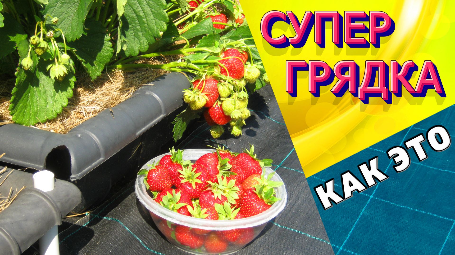 СУПЕР ИДЕЯ ! Мобильные, долговечные, многофункциональные грядки своими руками / Как это