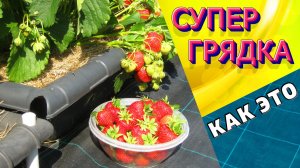 СУПЕР ИДЕЯ ! Мобильные, долговечные, многофункциональные грядки своими руками / Как это