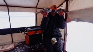 Ладога р.Свирь окунь