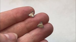 copy_6CEE3203-2D92-42D9-854F-0C7B6A3FB1D4