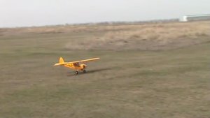 Павел с пайпером по весне...