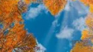 "НЕЖНОСТЬ"Сергей Александровский.mp4