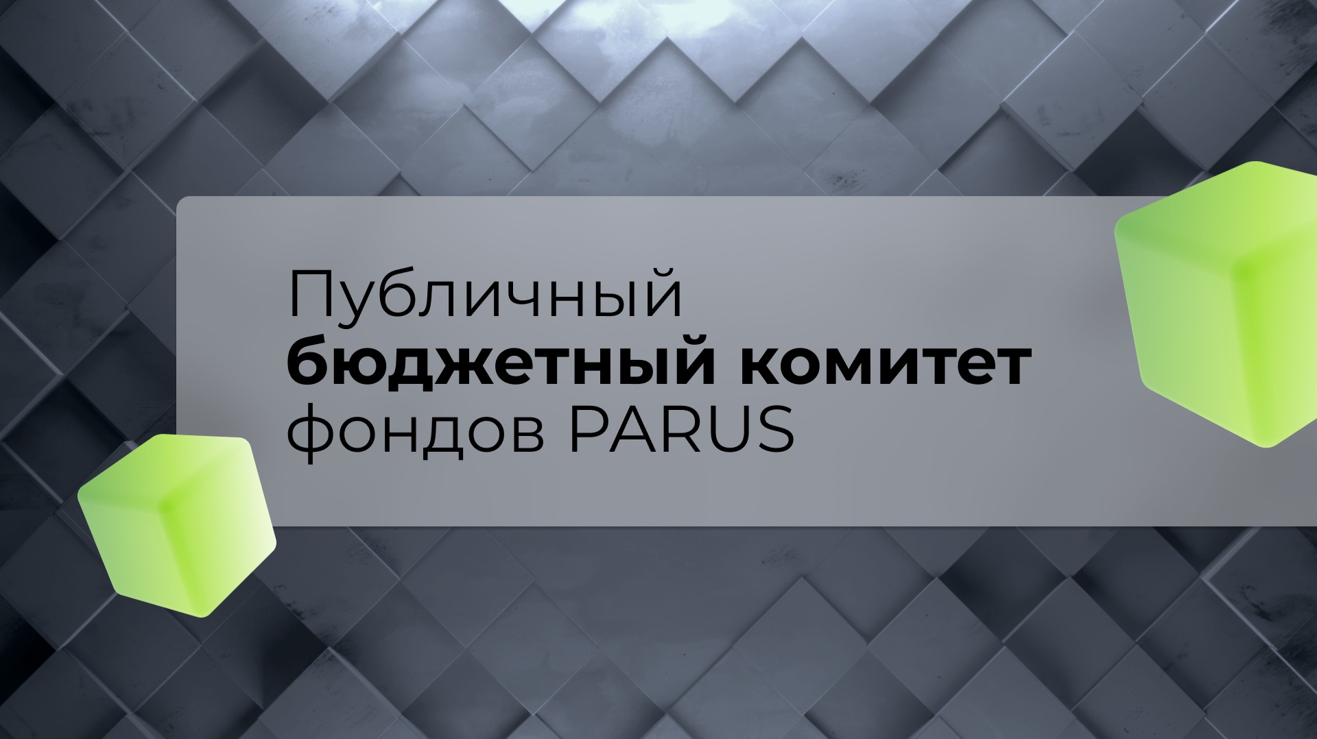Публичный бюджетный комитет фондов PARUS смотреть онлайн