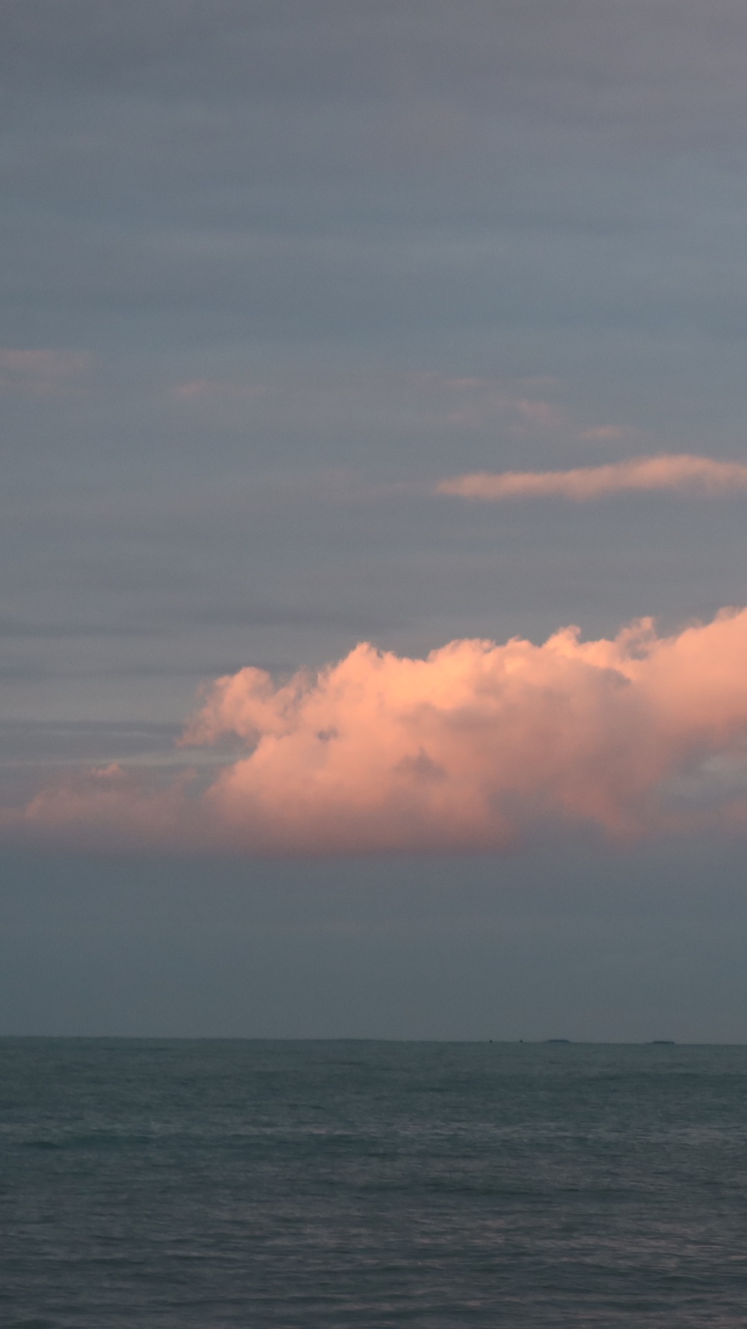 Карта дня как улучшить Восьмой Дом в гороскопе Таро расклад #таро#картаднятаро#коридорзатмений#tarot смотреть онлайн