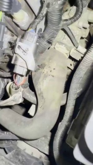 Интересный дефект на XRay CHECK ENGINE - cервисы меняют кислородники а результата нет, а проблема...