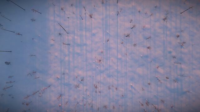 The Land Of Vogul Cinematic New